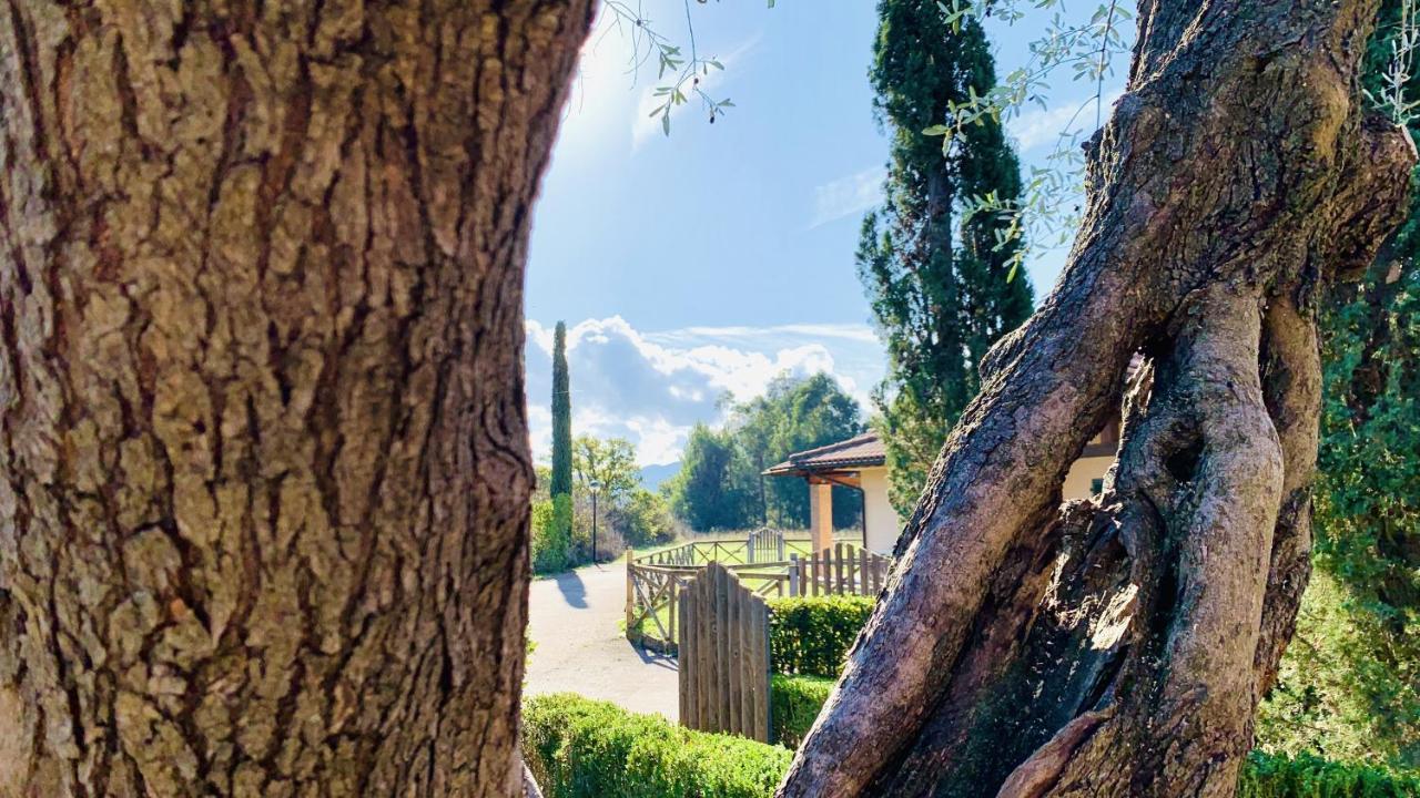 Casa In Maremma Tuscany Village Scarlino Ngoại thất bức ảnh